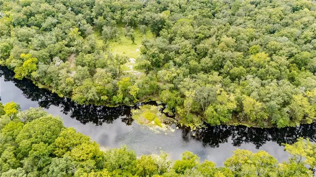 a view of a garden with a flower