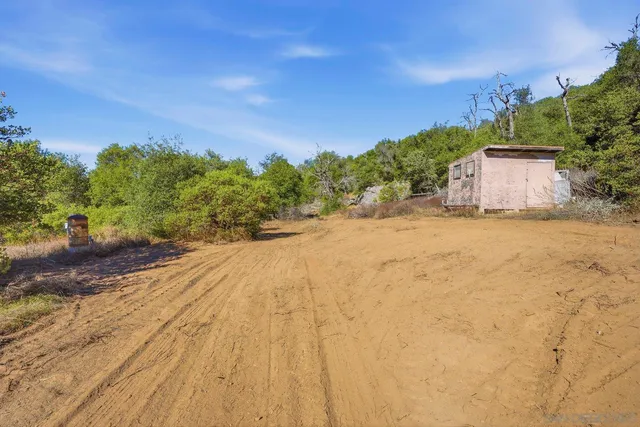 a view of yard with large trees