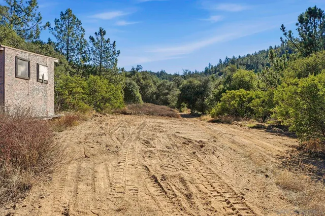 a view of a yard with a tree