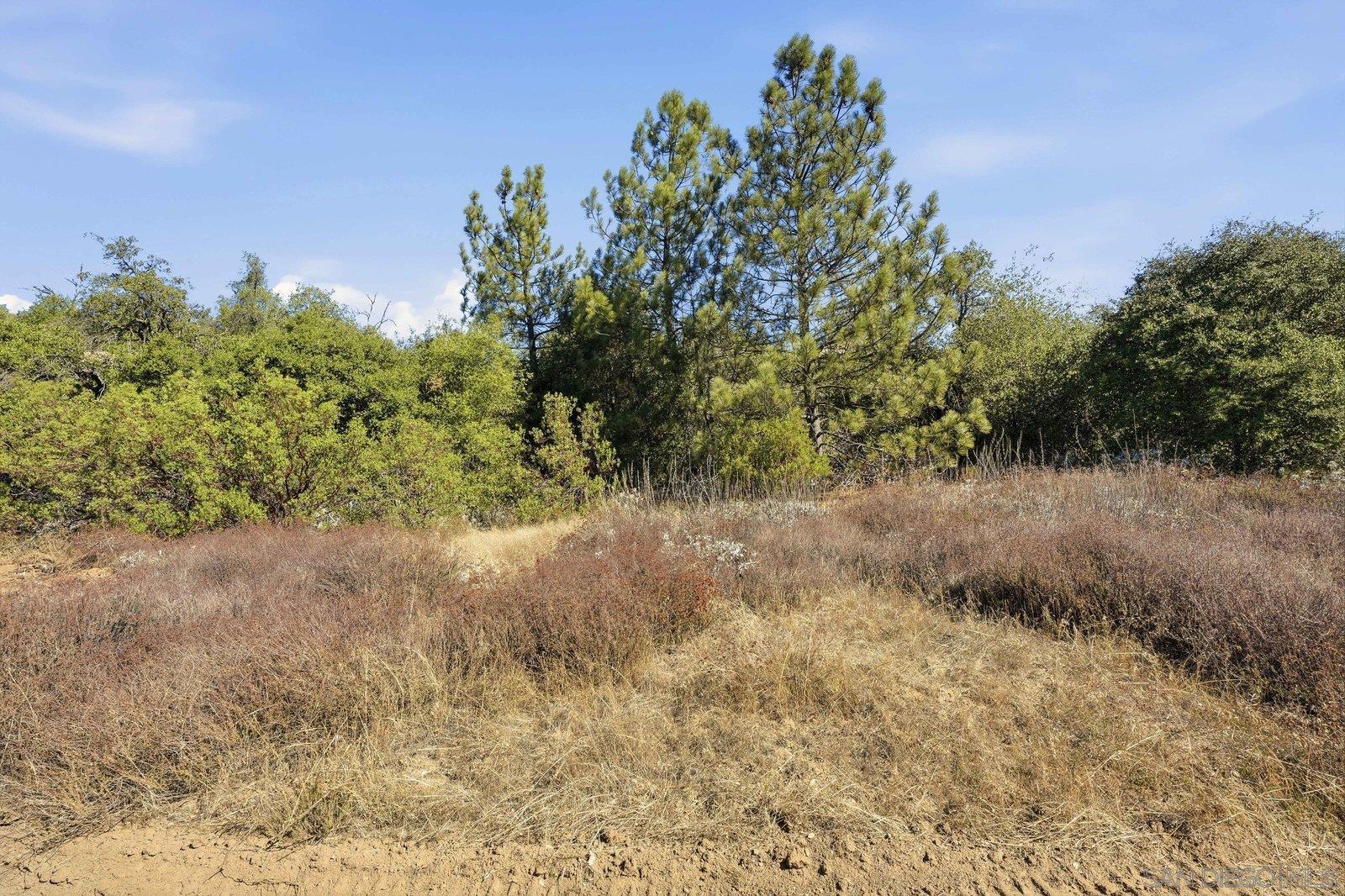 3310 Wynola Road Julian, CA 92036 - Photo 17 of 31 Gallery Image 17