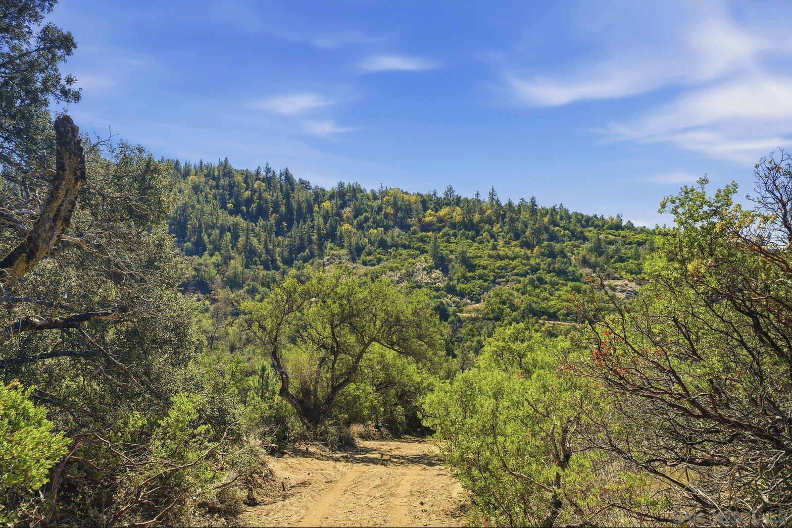 3310 Wynola Road Julian, CA 92036 - Photo 20 of 31 Gallery Image 20