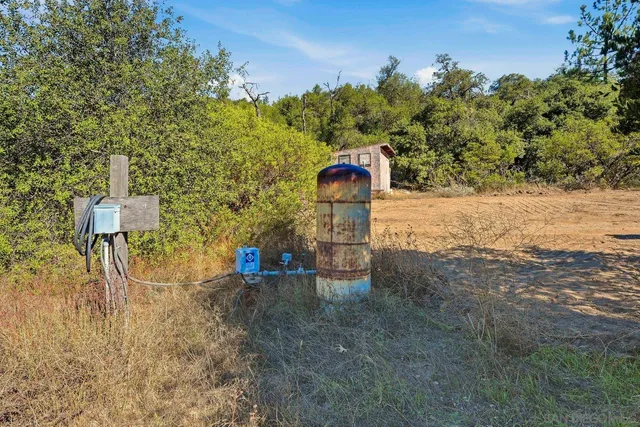 a view of a yard with a tree