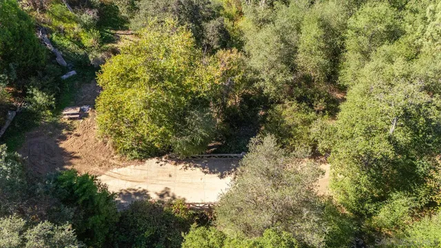 a view of a lake with a tree