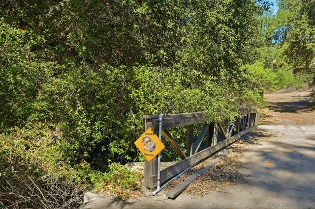 a view of a yard with large trees