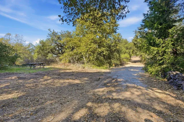 a backyard of a house with lots of green space