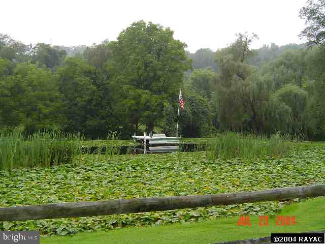 2335 Springwood Road York, PA 17402 - Photo 4 of 7 Gallery Image 4