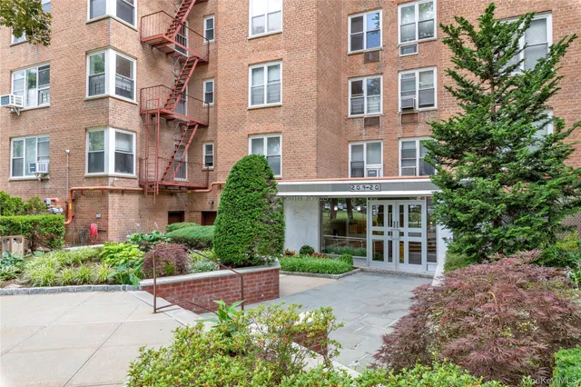 a view of a park with large trees