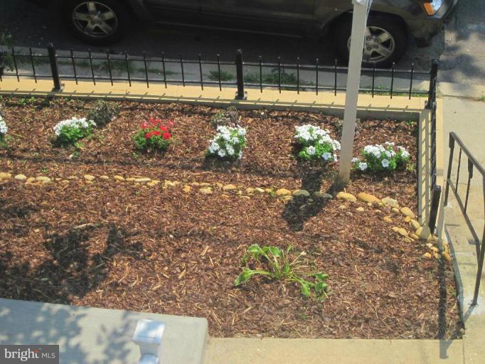 1416 Morris Road Southeast Washington, DC 20020 - Photo 7 of 12 Manicured front yard.