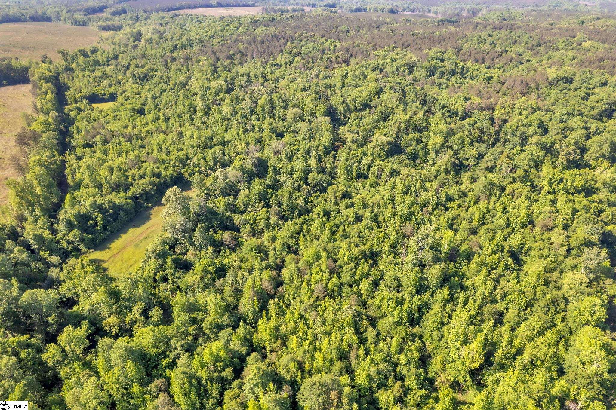 0 Hemlock Drive Clinton, SC 29325 - Photo 11 of 23