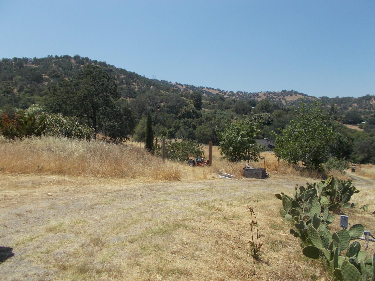 39370 Squaw Valley Road Squaw Valley, CA 93675 - Photo 8 of 25 Gallery Image 8