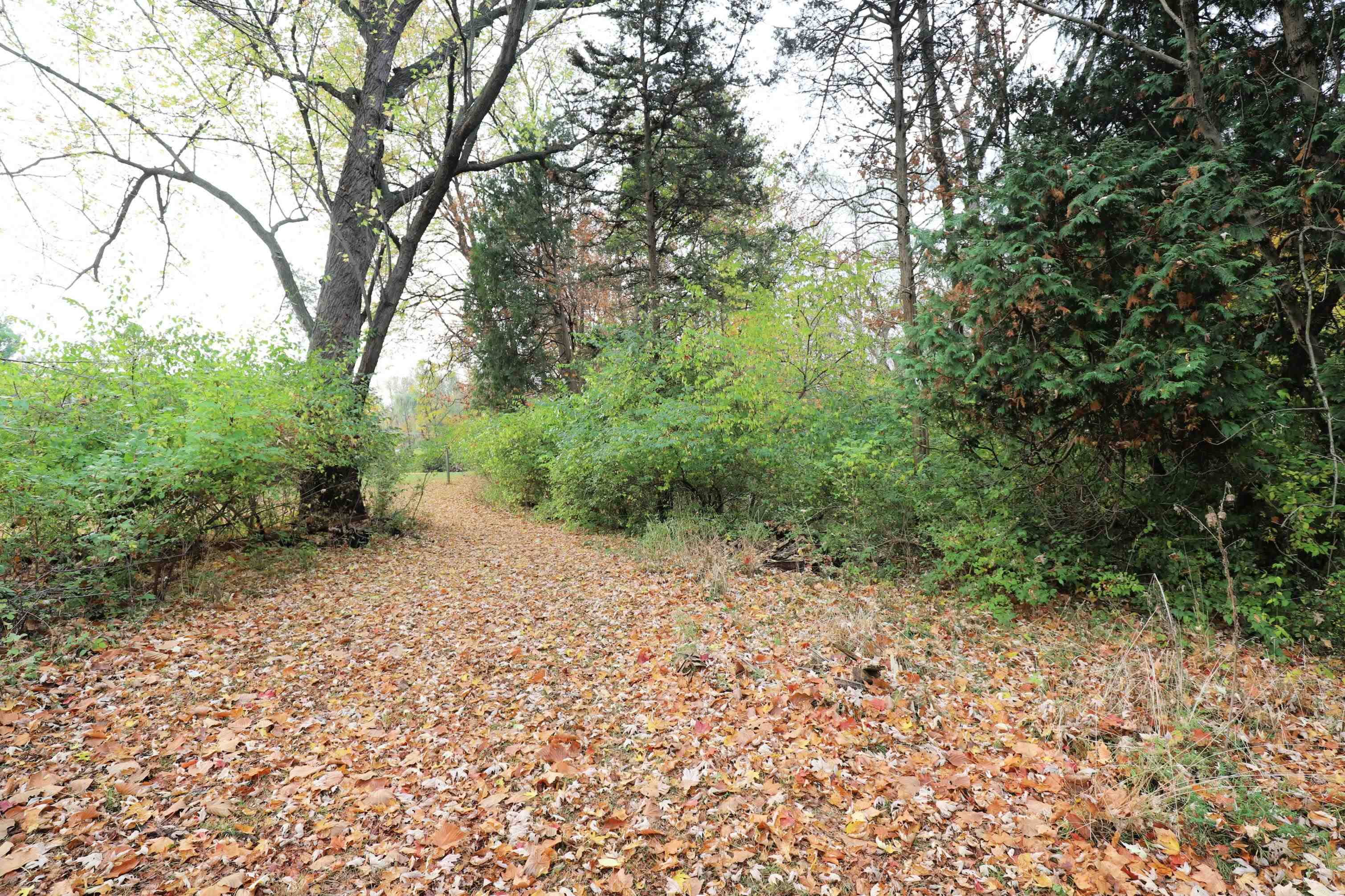 1569 Flushing Road Flushing, MI 48433 - Photo 32 of 44 50159811-baf75338-aadd-4de7-b7a2-4883d08b4e59.JPG