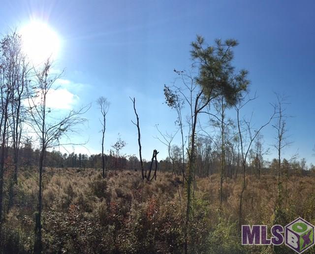 T-7 Palmer Road Livingston, LA 70754 - Photo 3 of 8 Gallery Image 3