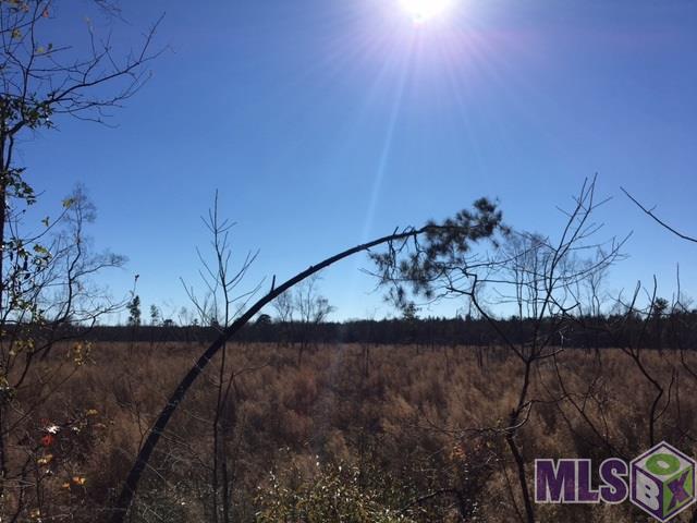 T-7 Palmer Road Livingston, LA 70754 - Photo 4 of 8 Gallery Image 4