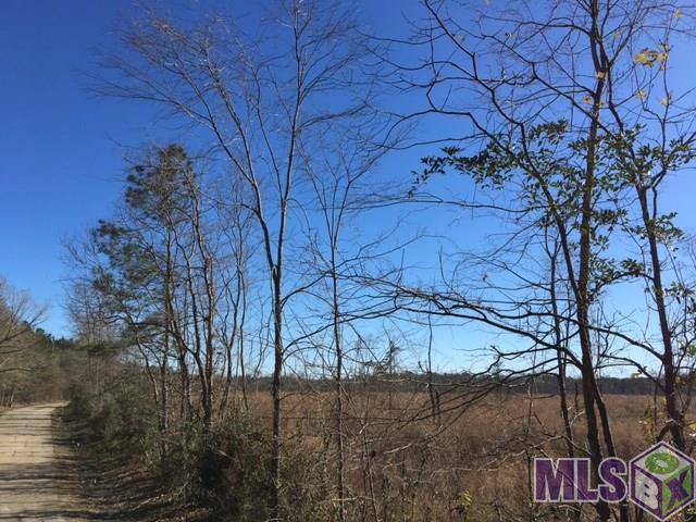 T-7 Palmer Road Livingston, LA 70754 - Photo 5 of 8 Gallery Image 5