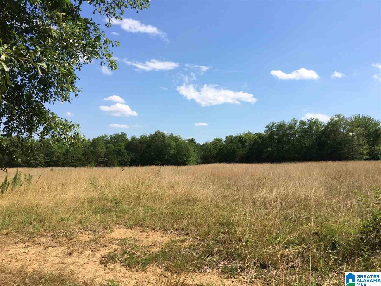 3134 Pine Mountain Road Remlap, AL 35133 - Photo 21 of 44 Gallery Image 21