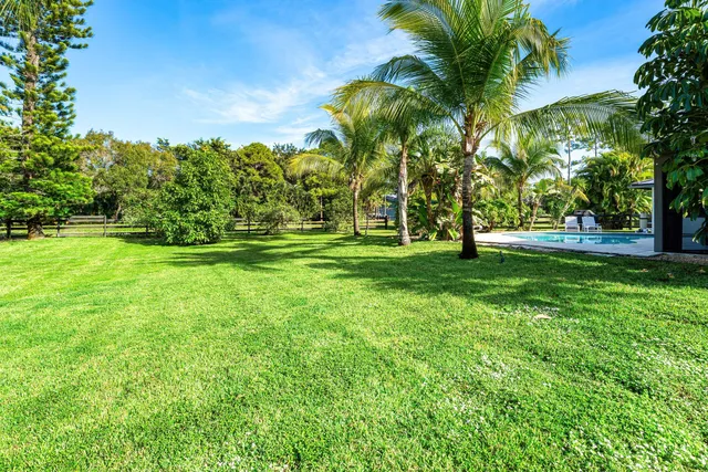a view of a park with a big yard