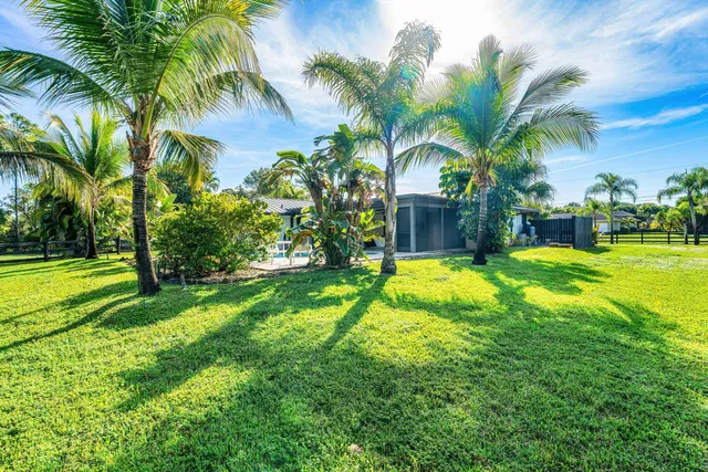 a view of a yard with a palm trees