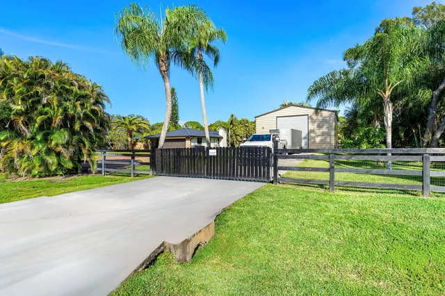 a view of a park with large trees