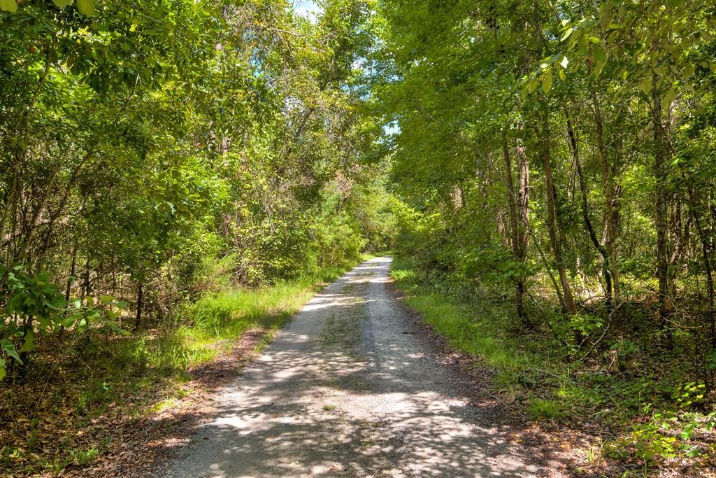 1136 South St Pauls Church Road Sumter, SC 29154 - Photo 39 of 39