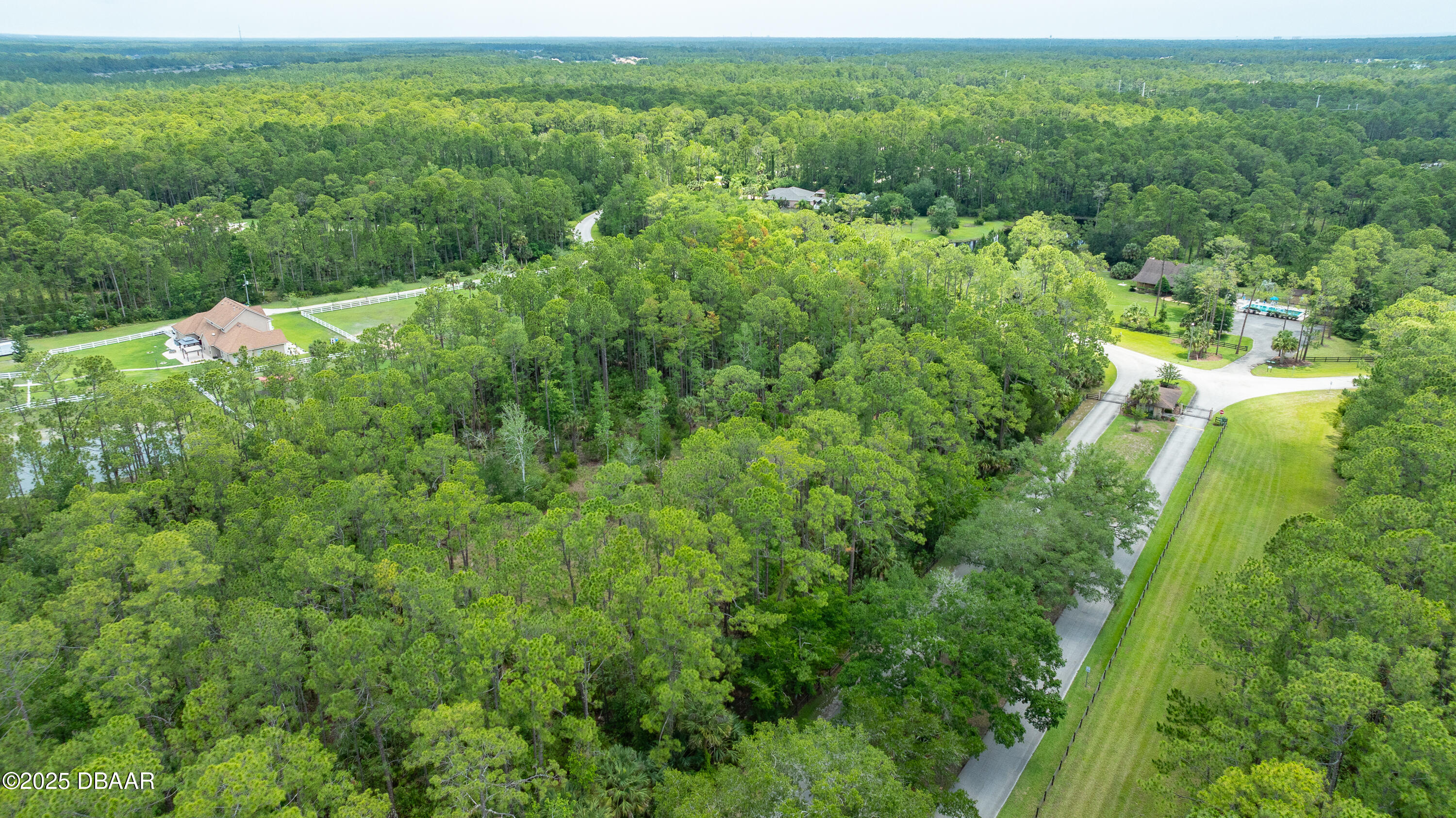 3 Remington Road Ormond Beach, FL 32174 - Photo 18 of 18 a view of a lush green forest with trees and some plants