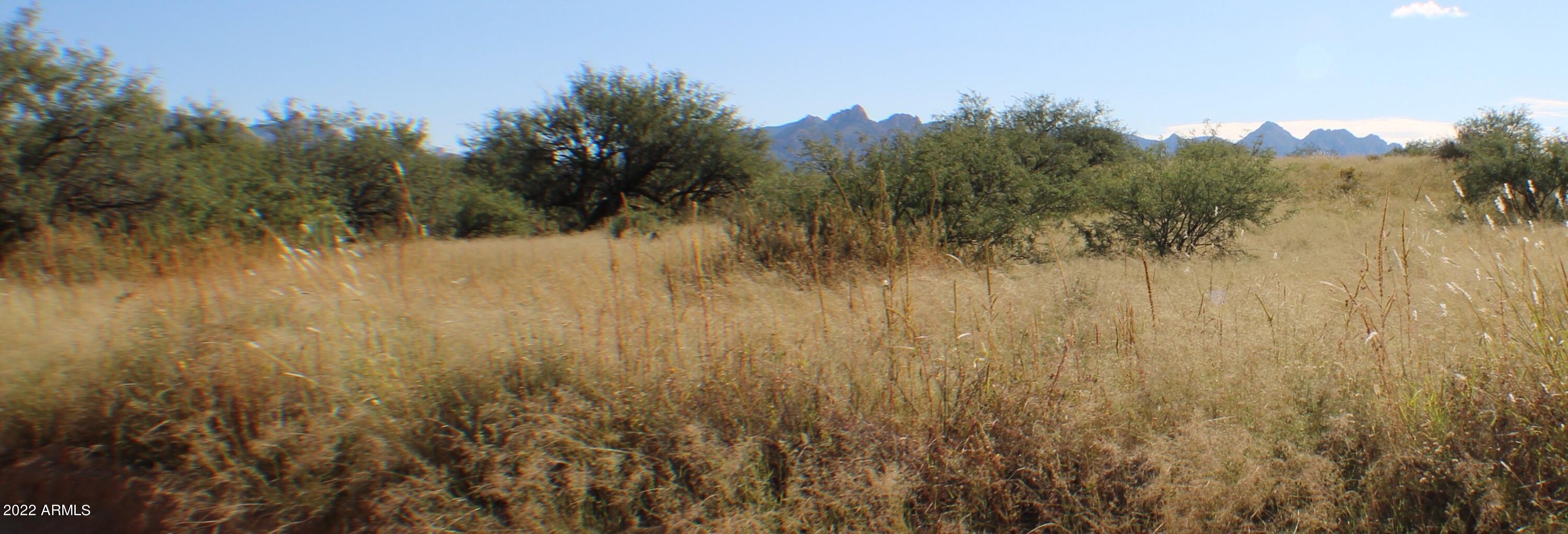 Lot M44 East Horse Ranch Road East, Unit M44 St. David, AZ 85630 - Photo 12 of 18 IMG_0125