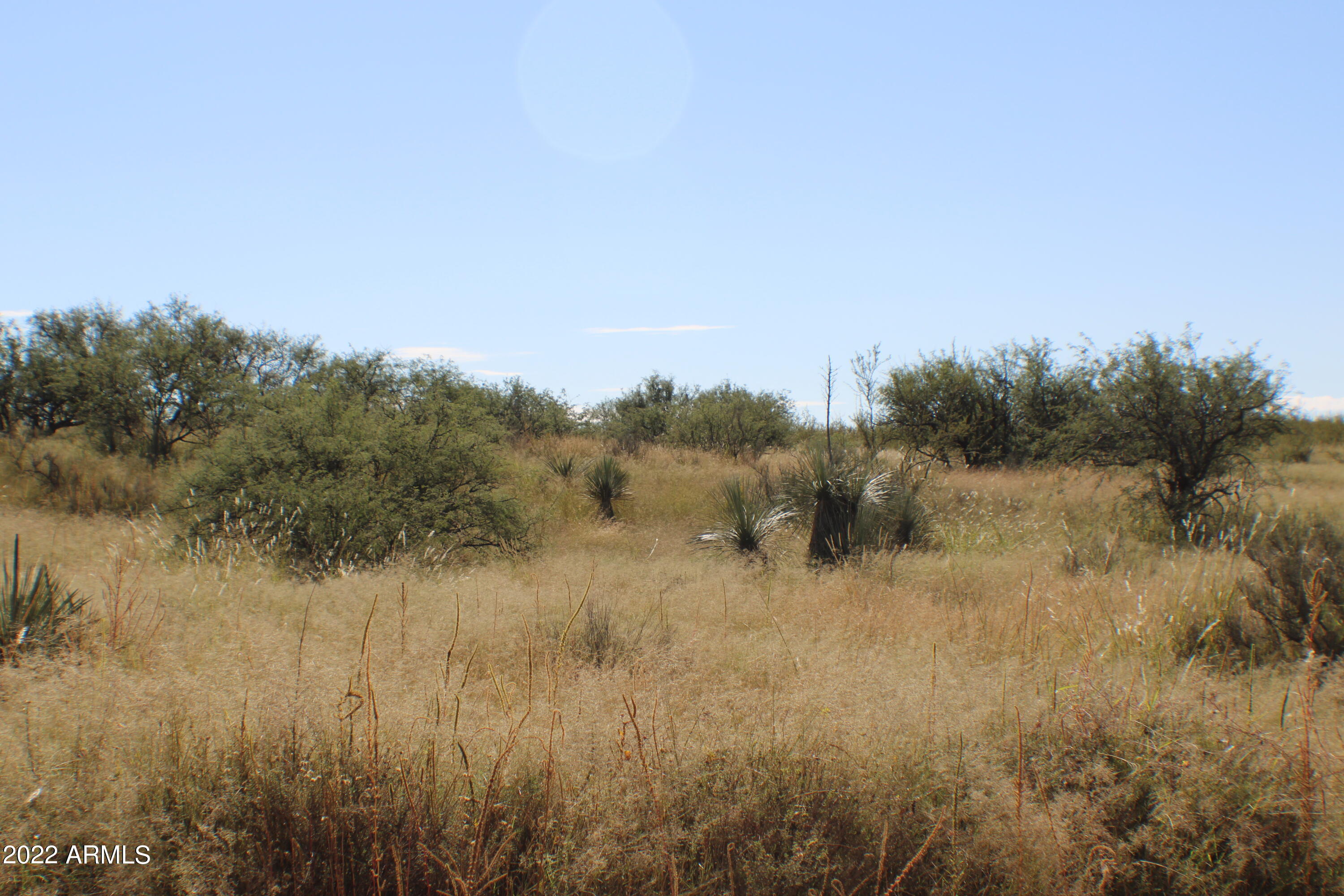 Lot M44 East Horse Ranch Road East, Unit M44 St. David, AZ 85630 - Photo 14 of 18 IMG_0127