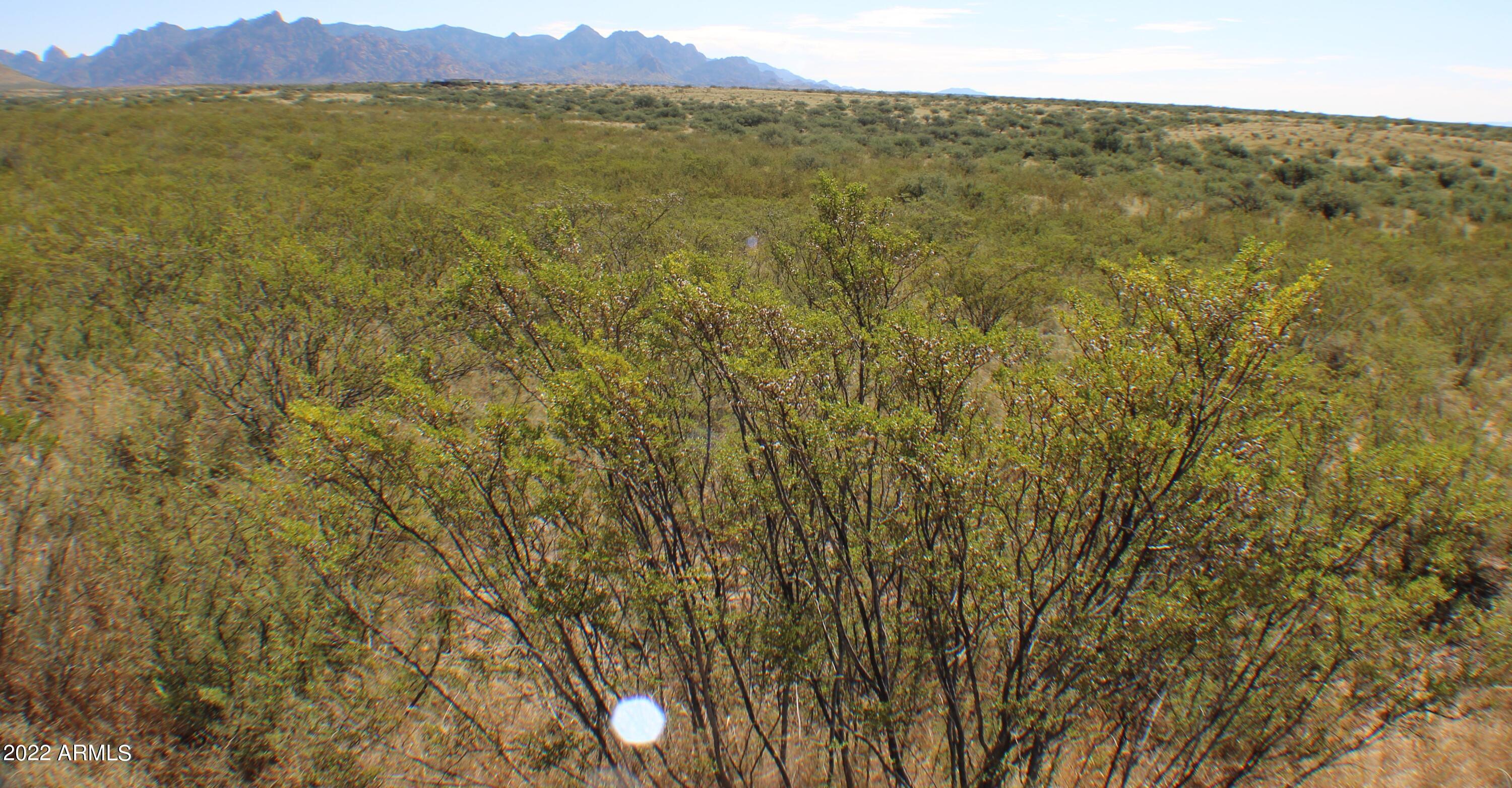 Lot M44 East Horse Ranch Road East, Unit M44 St. David, AZ 85630 - Photo 2 of 18 IMG_0116