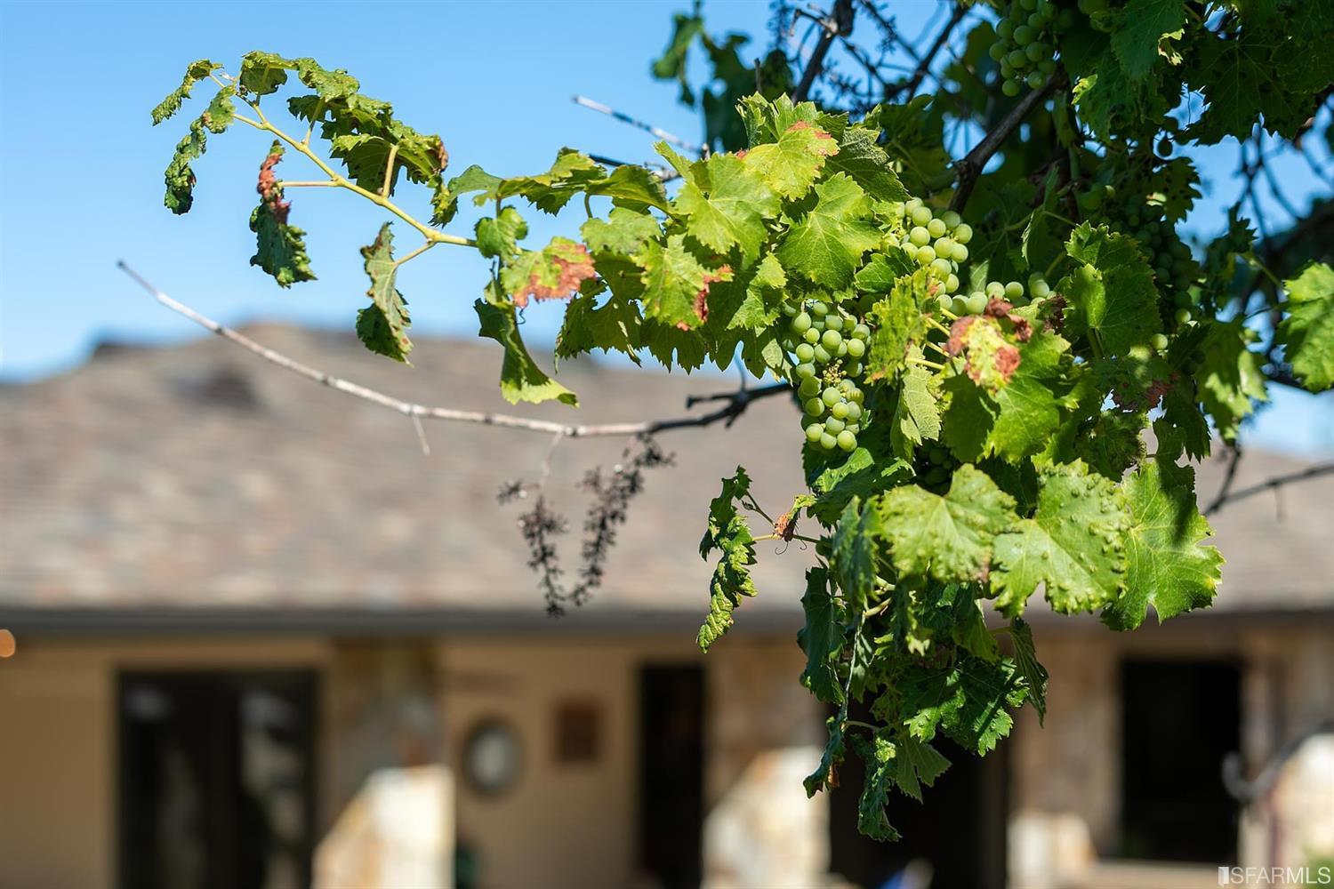 165 Brookwood Road Woodside, CA 94062 - Photo 62 of 77