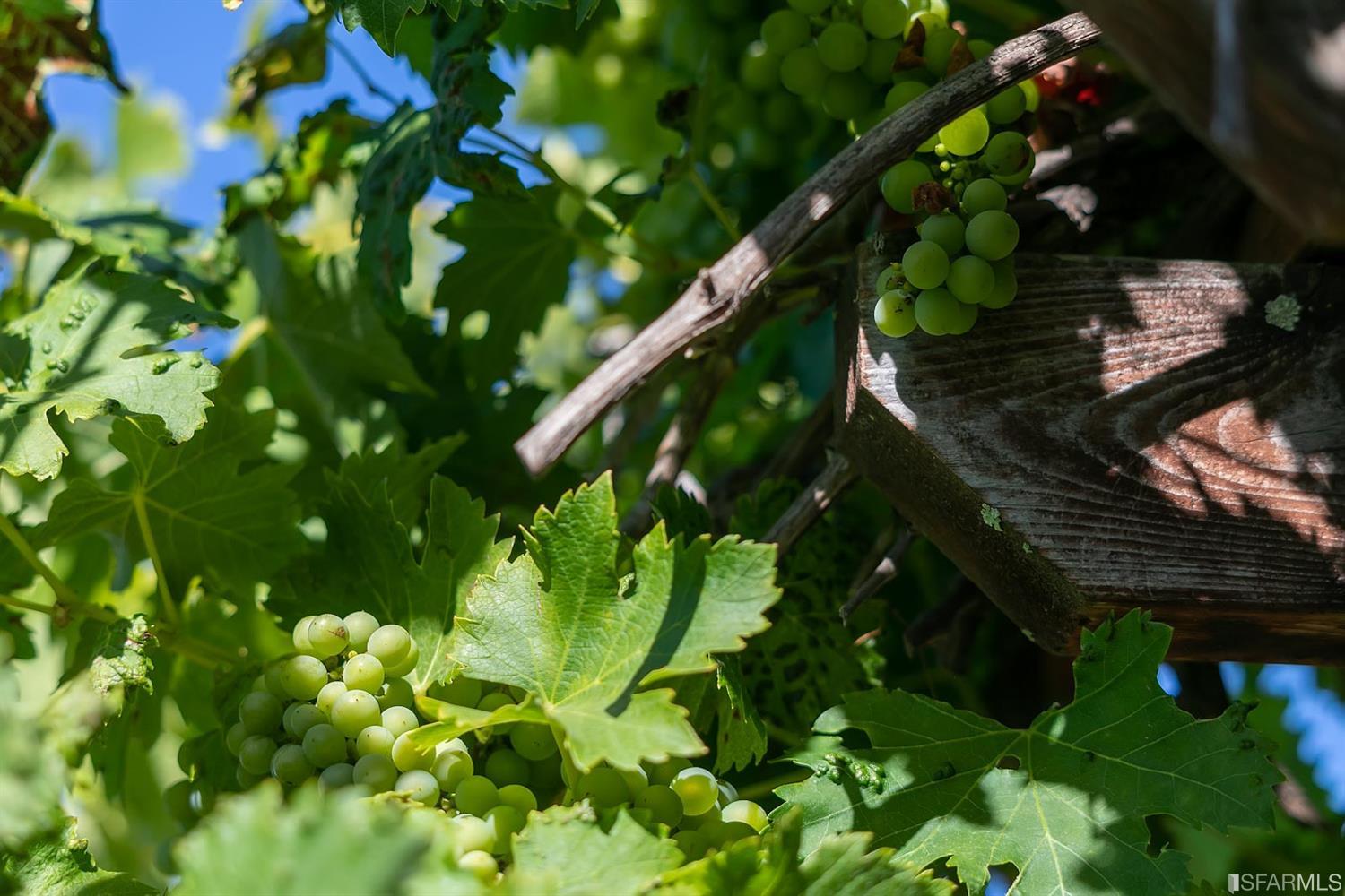 165 Brookwood Road Woodside, CA 94062 - Photo 72 of 77