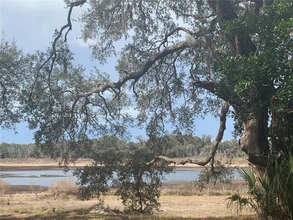 a view of mountain view with large trees