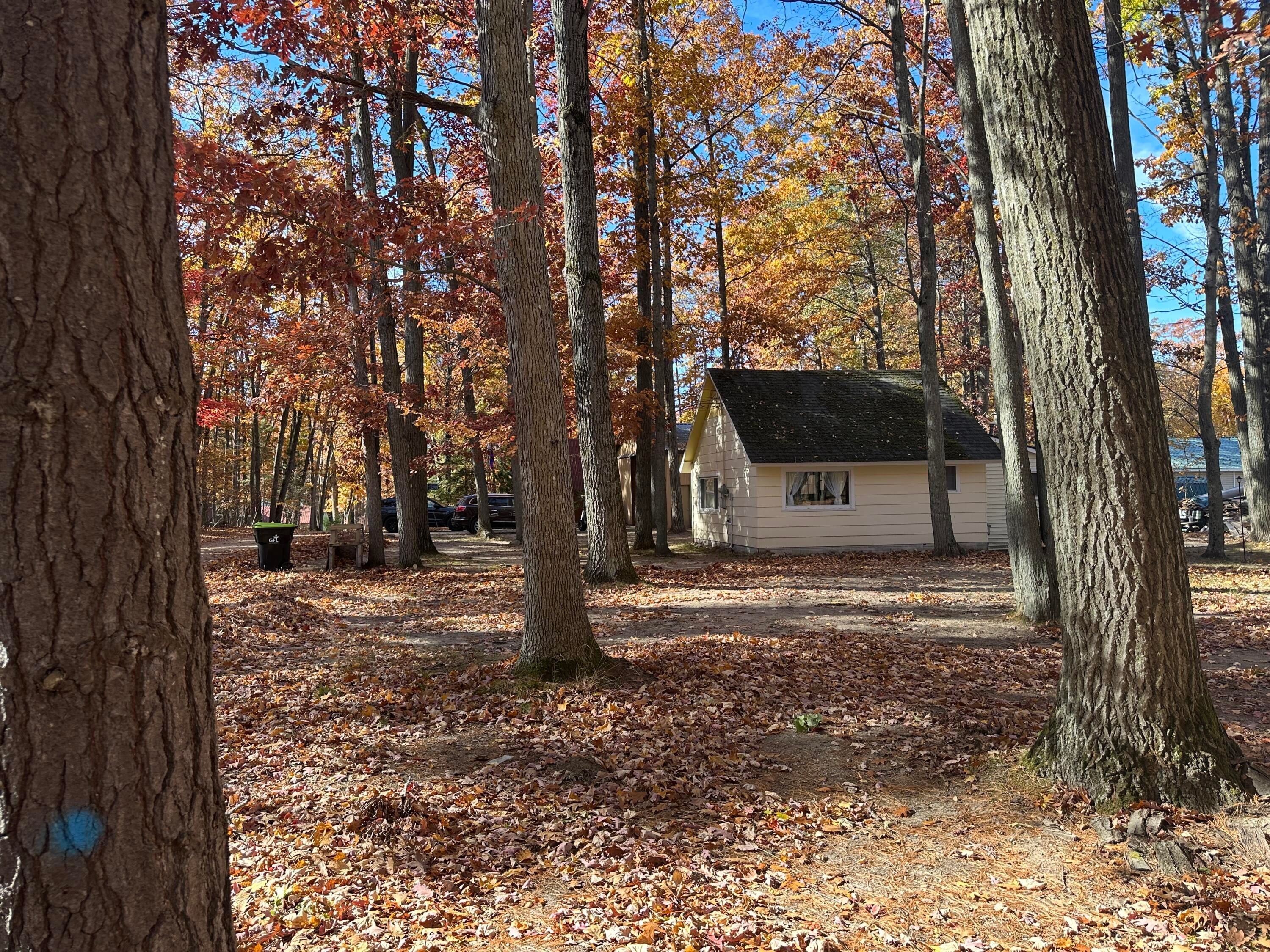 206 Cleveland Street Roscommon, MI 48653 - Photo 9 of 30 Gallery Image 9
