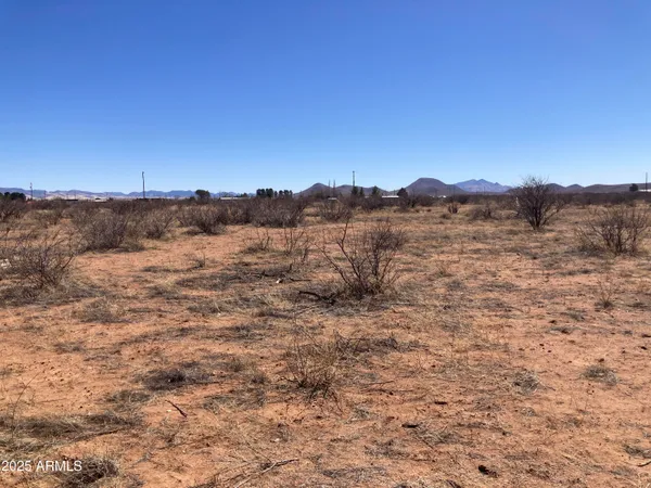 a view of a dry field with trees in the background
