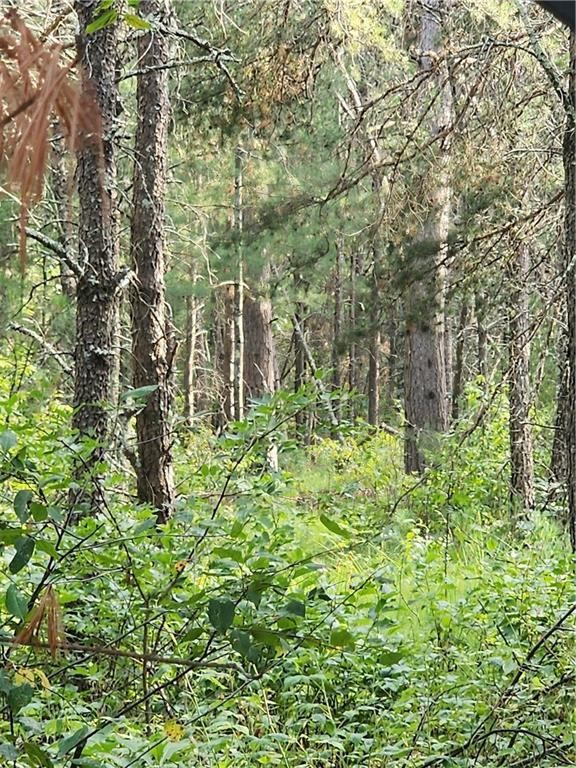 5500 County Highway Sparta, WI 54656 - Photo 6 of 39