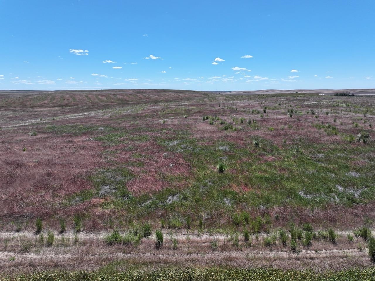 Lot 2 Hepler Large Road Davenport, WA 99122 - Photo 6 of 14 Gallery Image 6