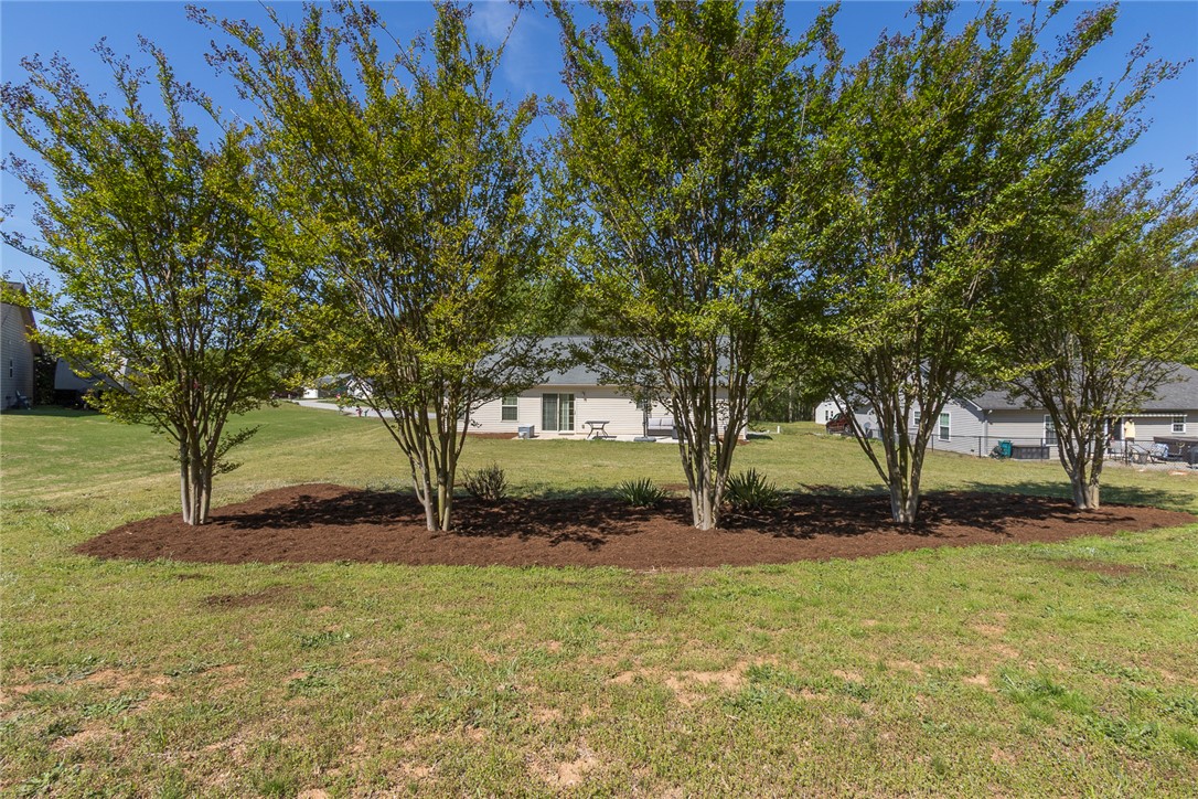 158 Mediterranean Avenue Anderson, SC 29621 - Photo 36 of 39 This verdant yard offers ample green space with vibrant trees and an open, inviting atmosphere.