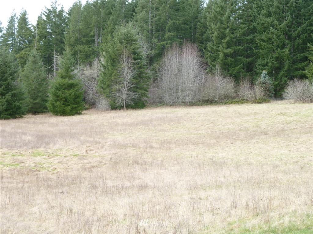 776 Brockway Road Chehalis, WA 98532 - Photo 7 of 12