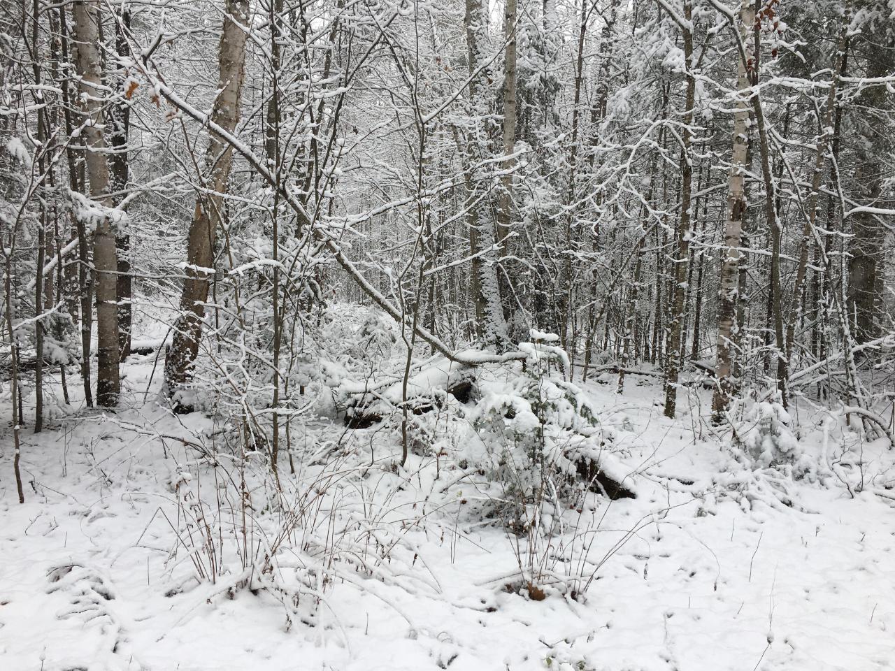 On Natural Springs Road, Unit LOT 31/32 Presque Isle, WI 54557 - Photo 1 of 3 Gallery Image 1