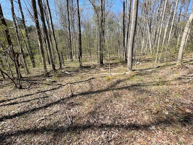 0 Coles Valley Road Robertsdale, PA 16674 - Photo 7 of 13 Gallery Image 7