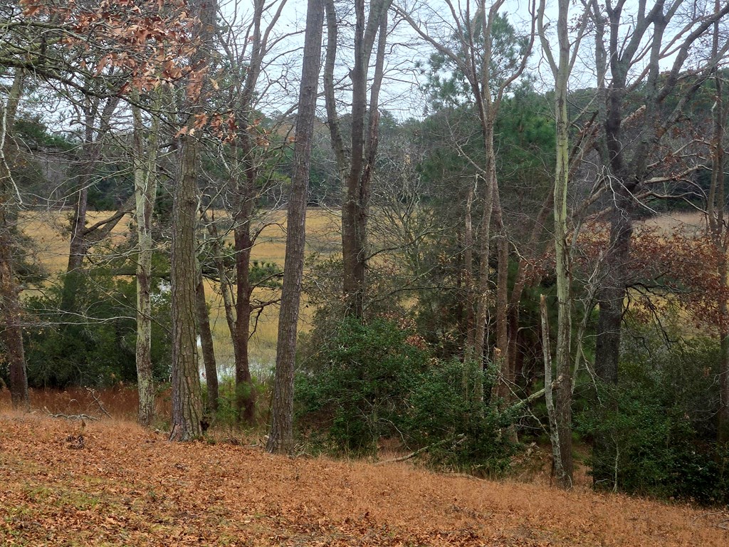 7472 Seaside Road, Unit 3 PAR Cape Charles, VA 23310 - Photo 19 of 35