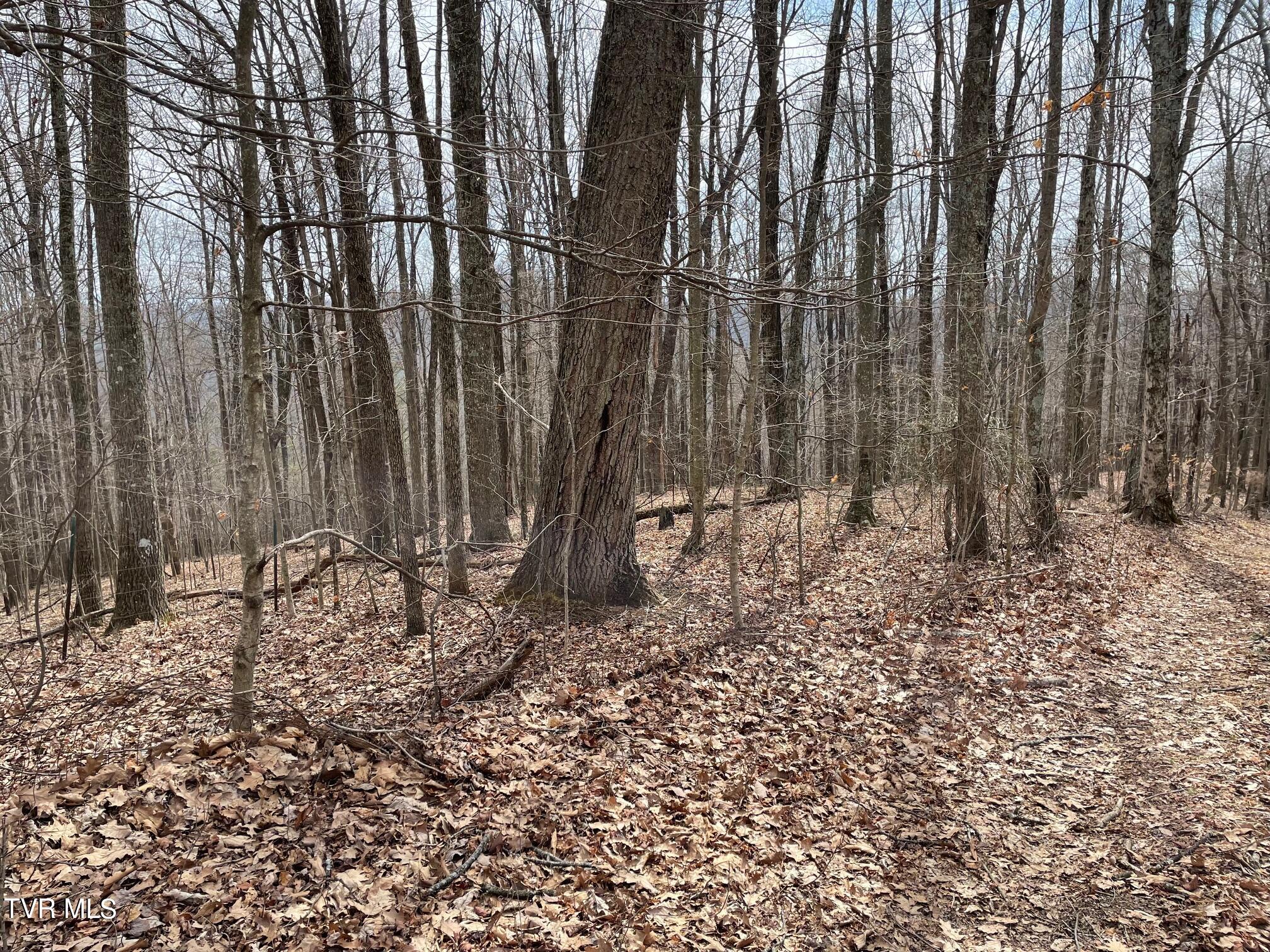 0 Shelleys Road Bristol, VA 24202 - Photo 8 of 17 3a