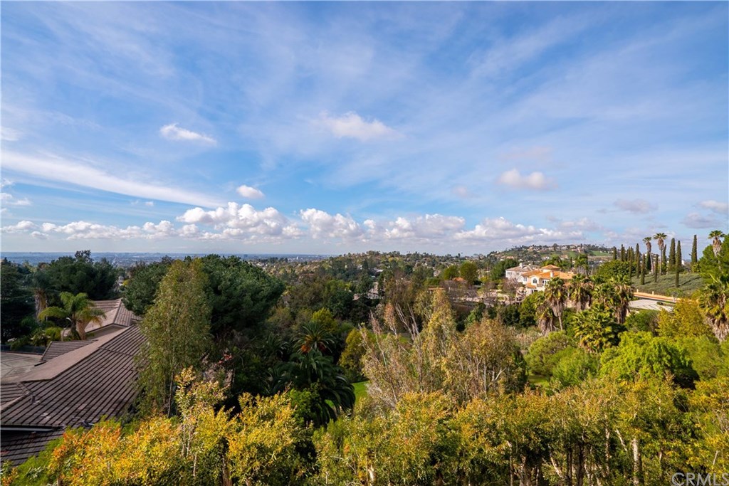 10521 Easter Hill Drive North Tustin, CA 92705 - Photo 29 of 31 Overview by drone. Location Location Location!!! Surrounded by Estate properties, Views and Trees!!!!