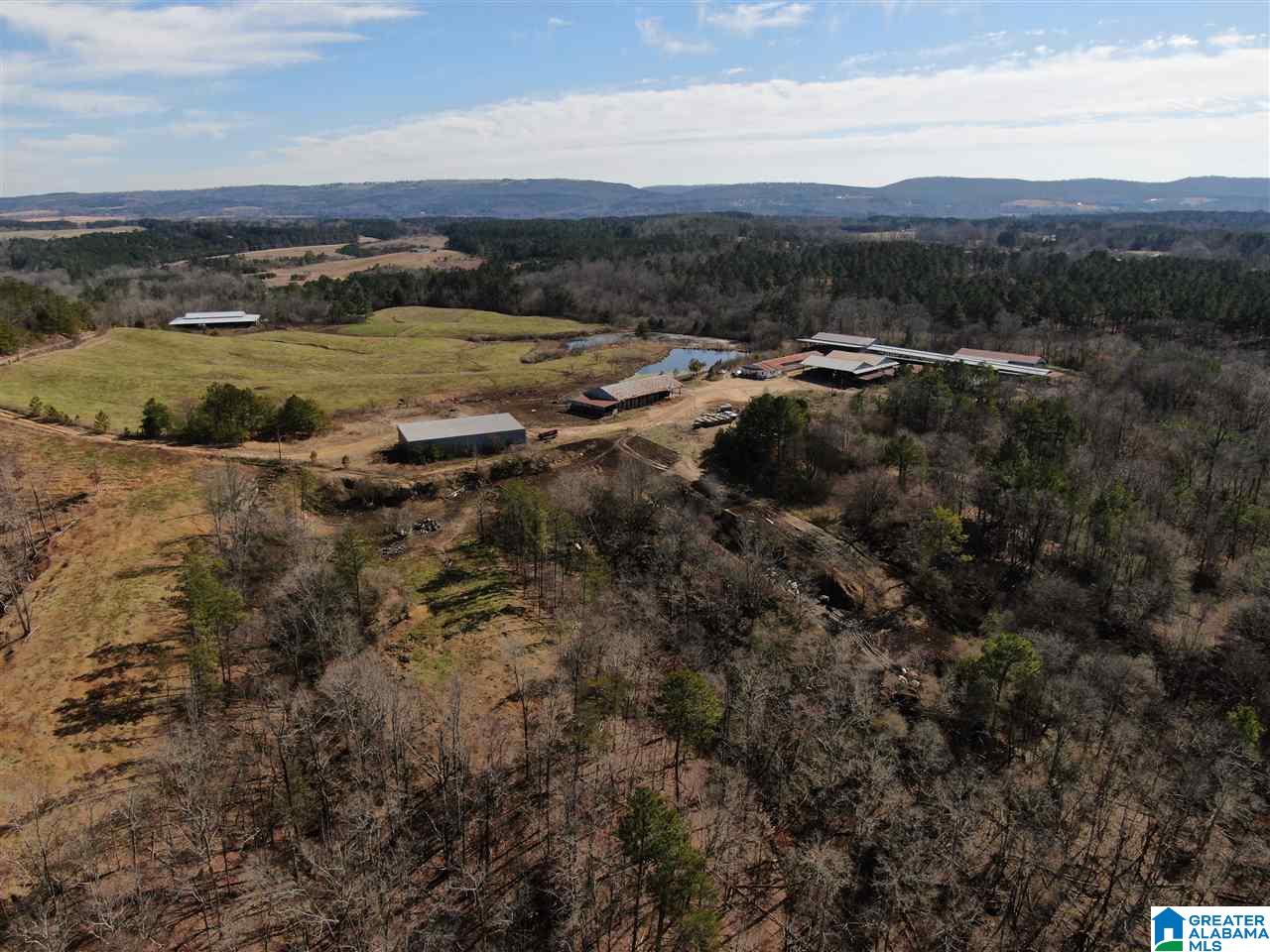 79 Highway 79 Cleveland, AL 35049 - Photo 4 of 36