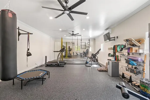 a view of a yard with trees