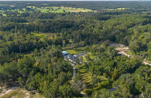 a view of a park with large trees