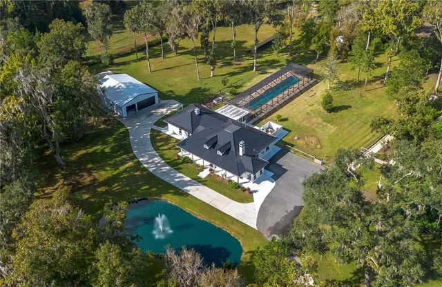 a park view with large trees