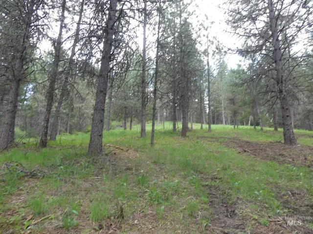 $250,000 | 22743 Old Melrose Grade Road, Peck, ID 83545