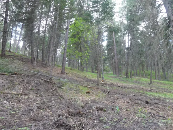 $250,000 | 22743 Old Melrose Grade Road, Peck, ID 83545