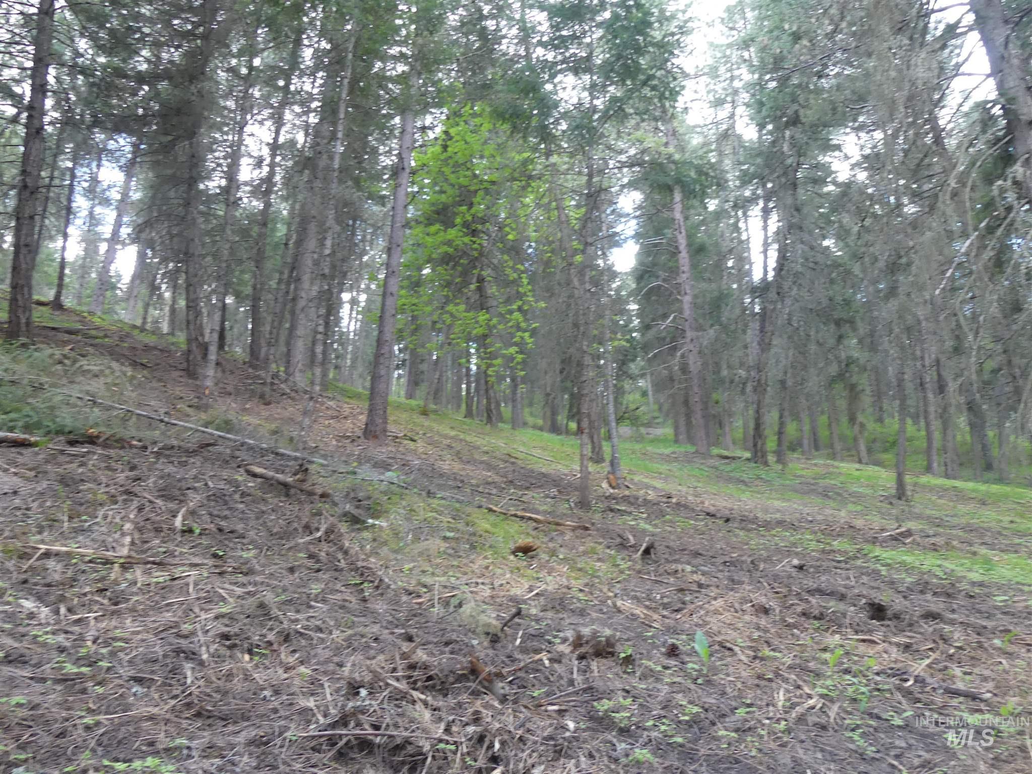 22743 Old Melrose Grade Road Peck, ID 83545 - Photo 11 of 45