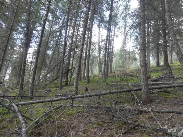 $250,000 | 22743 Old Melrose Grade Road, Peck, ID 83545