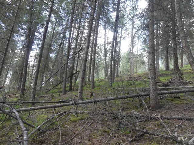 $250,000 | 22743 Old Melrose Grade Road, Peck, ID 83545